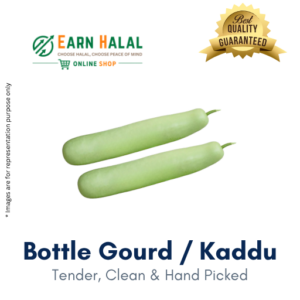 Bottle Gourd / Kaddu (Medium)