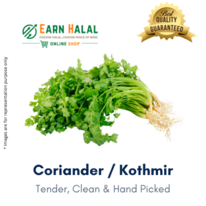 Coriander / Kothmir Leaf
