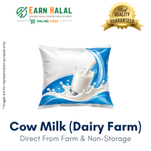 Cow Milk (Dairy Farm)