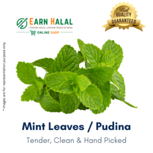 Mint / Pudina Leaf