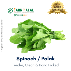 Spinach / Palak